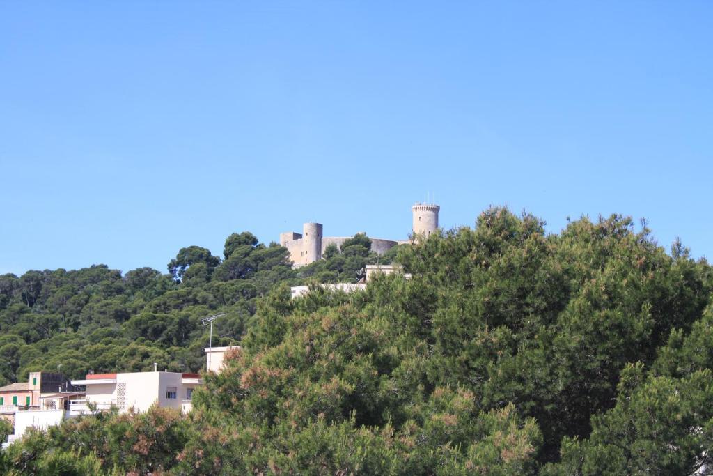 Hostal Pinar Palma de Mallorca Exterior photo